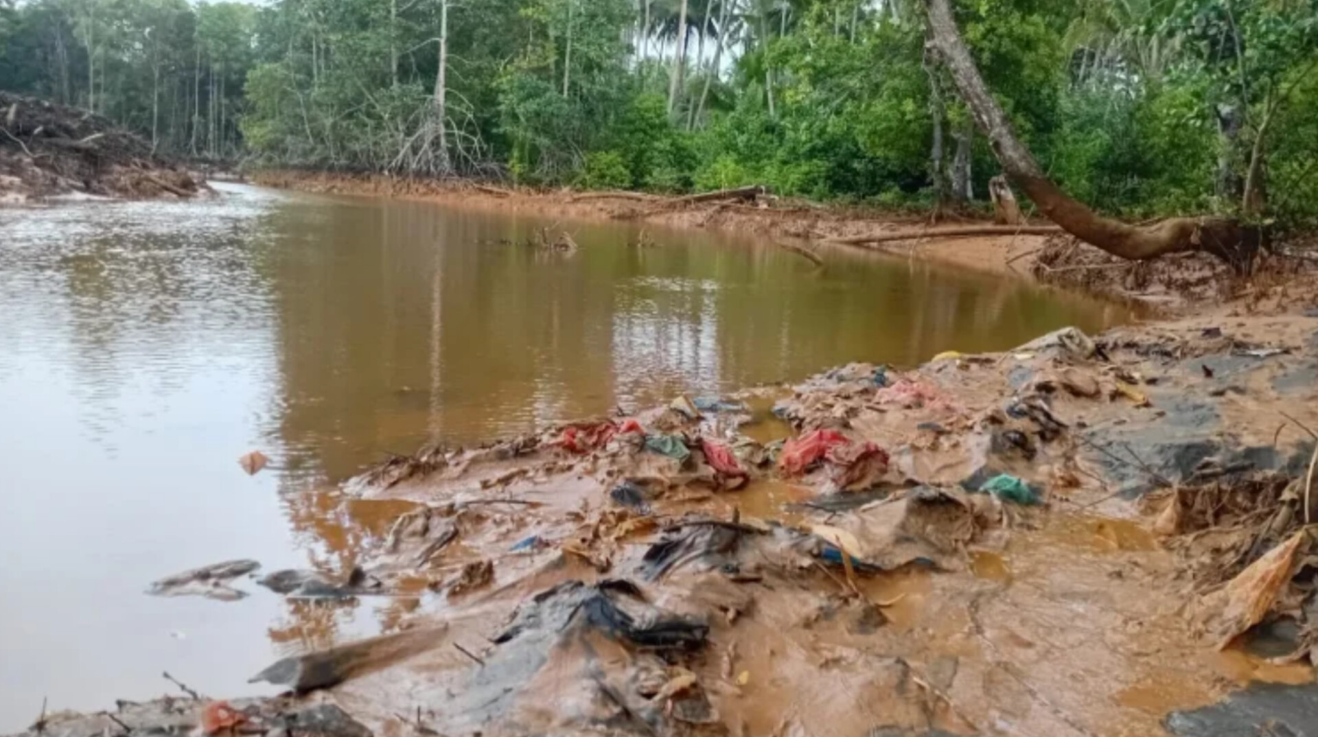 PT ANTAM Cemari Teluk Buli, APMP Malut Desak Stop PSN Baterai